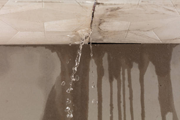 Professional Burst Pipe Cleanup technician working in Gladstone, NJ